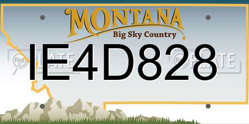 IE4D828 Montana License Plate