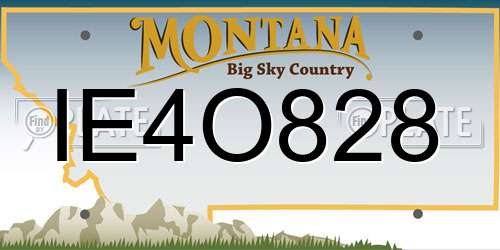 IE4O828 Montana License Plate
