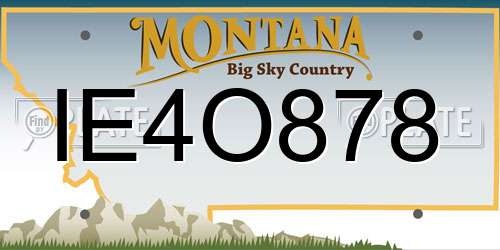 IE4O878 Montana License Plate
