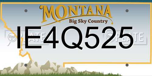 IE4Q525 Montana License Plate
