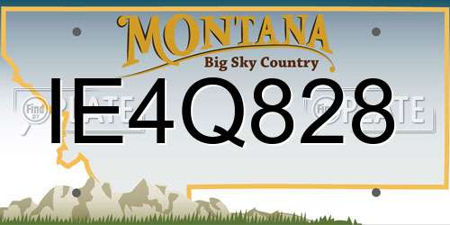 IE4Q828 Montana License Plate