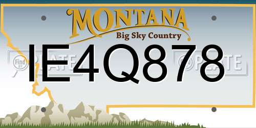 IE4Q878 Montana License Plate