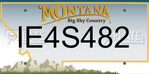 IE4S482 Montana License Plate