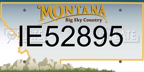 IE52895 Montana License Plate