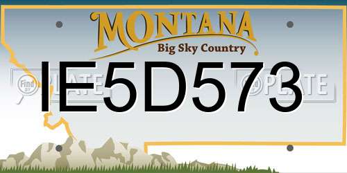 IE5D573 Montana License Plate