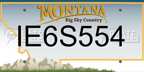 IE6S554 Montana License Plate