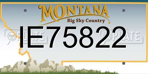 IE75822 Montana License Plate