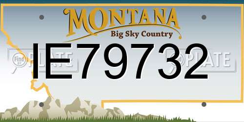 IE79732 Montana License Plate