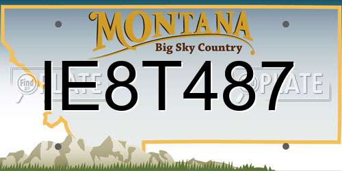 IE8T487 Montana License Plate
