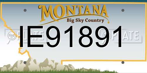 IE91891 Montana License Plate