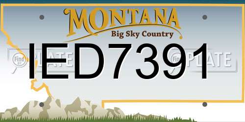 IED7391 Montana License Plate