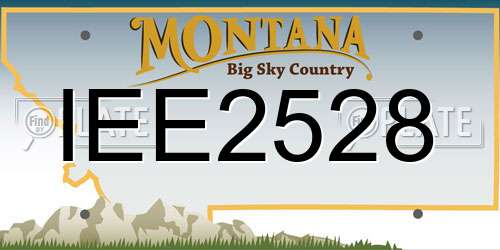 IEE2528 Montana License Plate