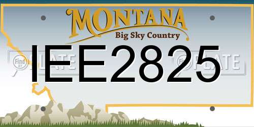IEE2825 Montana License Plate