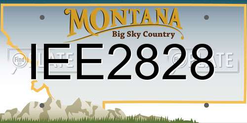 IEE2828 Montana License Plate