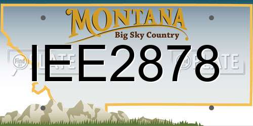 IEE2878 Montana License Plate