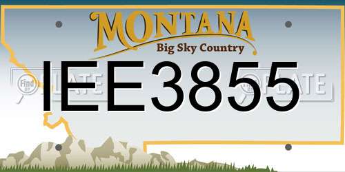 IEE3855 Montana License Plate