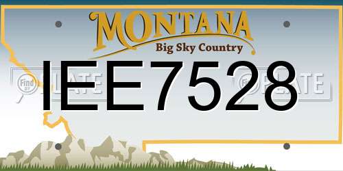 IEE7528 Montana License Plate