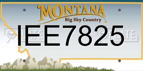 IEE7825 Montana License Plate
