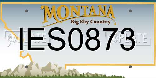 IES0873 Montana License Plate