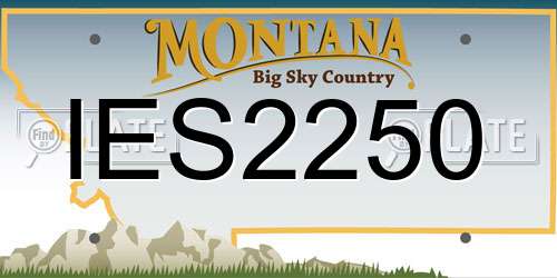 IES2250 Montana License Plate
