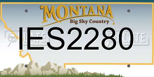 IES2280 Montana License Plate
