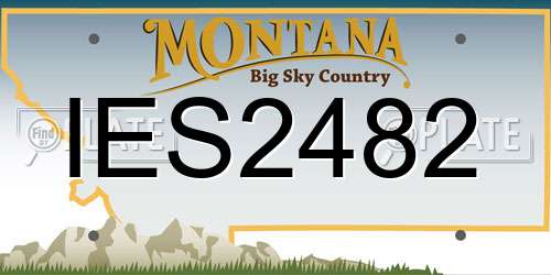 IES2482 Montana License Plate