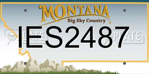 IES2487 Montana License Plate