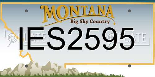 IES2595 Montana License Plate
