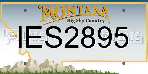 IES2895 Montana License Plate