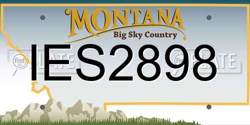 IES2898 Montana License Plate