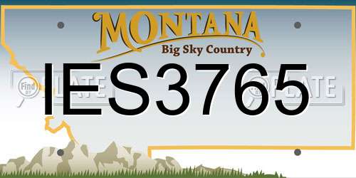 IES3765 Montana License Plate