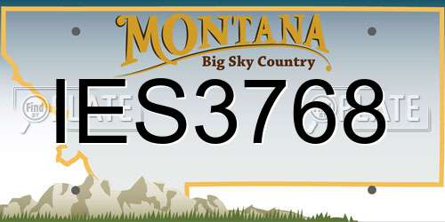 IES3768 Montana License Plate