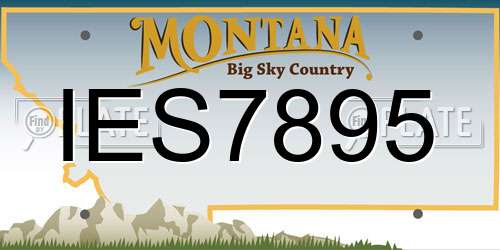 IES7895 Montana License Plate