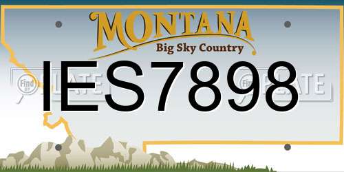 IES7898 Montana License Plate