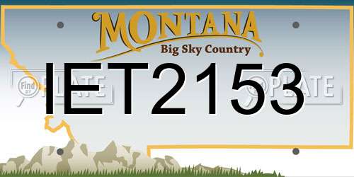 IET2153 Montana License Plate