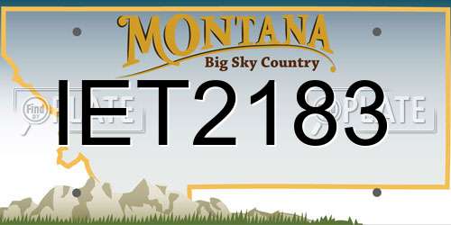 IET2183 Montana License Plate