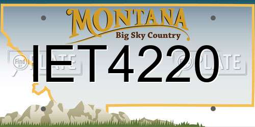 IET4220 Montana License Plate