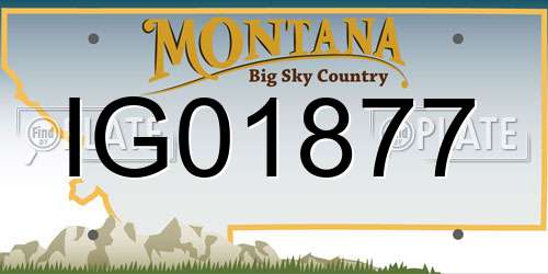IG01877 Montana License Plate