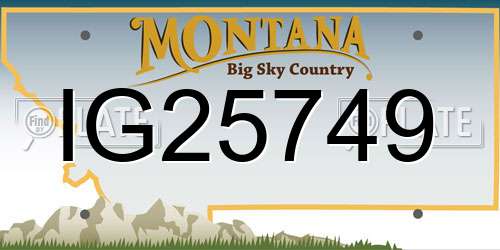 IG25749 Montana License Plate