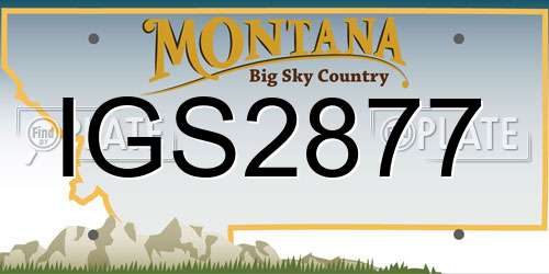 IGS2877 Montana License Plate
