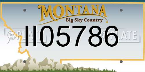 II05786 Montana License Plate