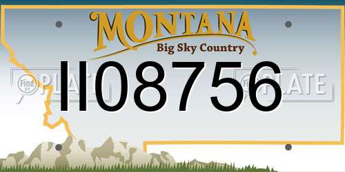 II08756 Montana License Plate