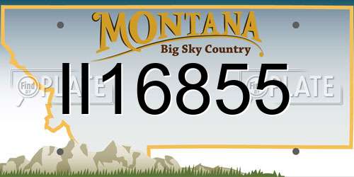 II16855 Montana License Plate