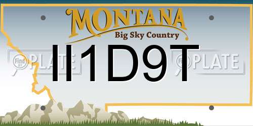 II1D9T Montana License Plate