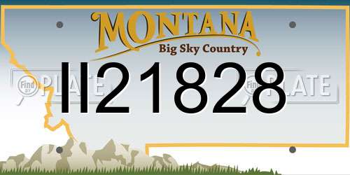 II21828 Montana License Plate