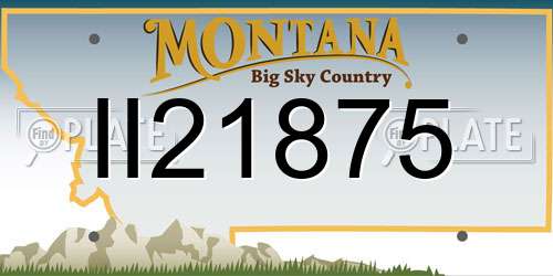 II21875 Montana License Plate