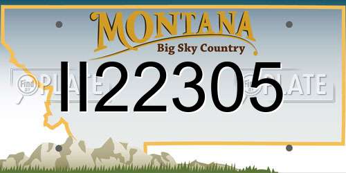II22305 Montana License Plate