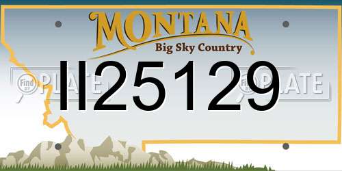 II25129 Montana License Plate