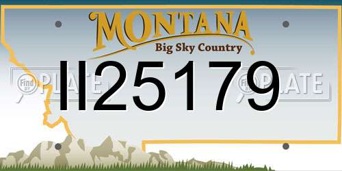 II25179 Montana License Plate