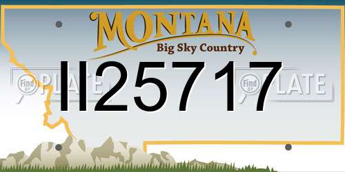 II25717 Montana License Plate